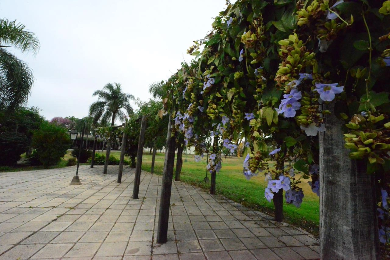 Las Lajitas: Galería exterior