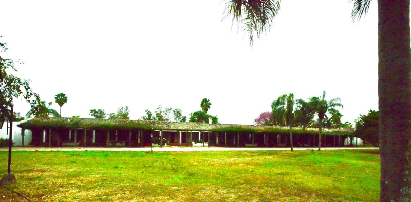 Vista exterior del alojamiento y su jardín.