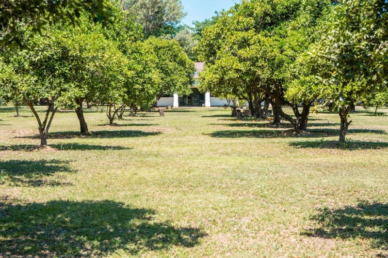 Árboles y jardines en los espacios del hospedaje.